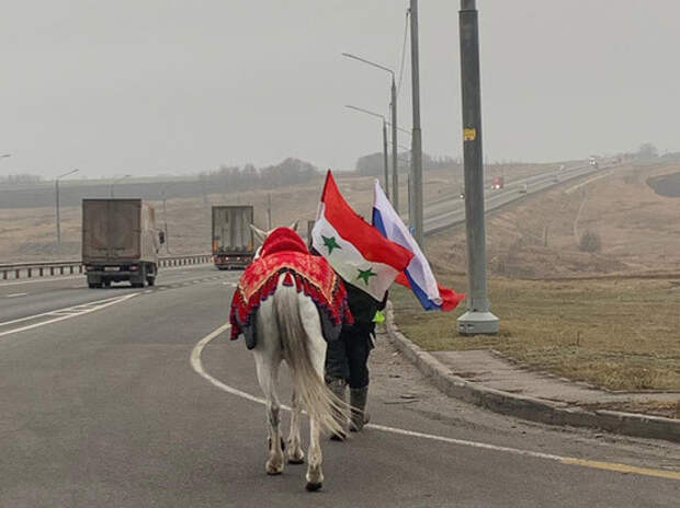 Сирийский шейх повел к Путину лошадь через заснеженную Россию Сирийский шейх повел к Путину лошадь через заснеженную Россию