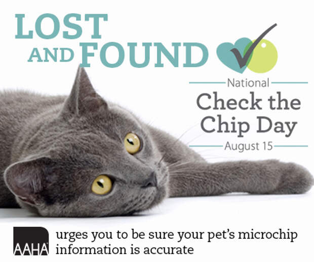 CheckYourChip_Timeline