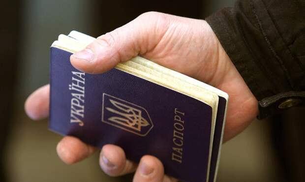 Автоматизированная программа учета прибывающих из Украины граждан разработана в области