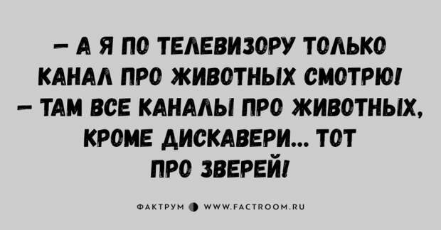 Топ 10 анекдотов для поднятия настроения