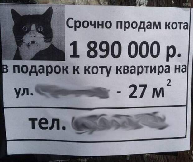 Прикольные картинки понедельника (41 шт)