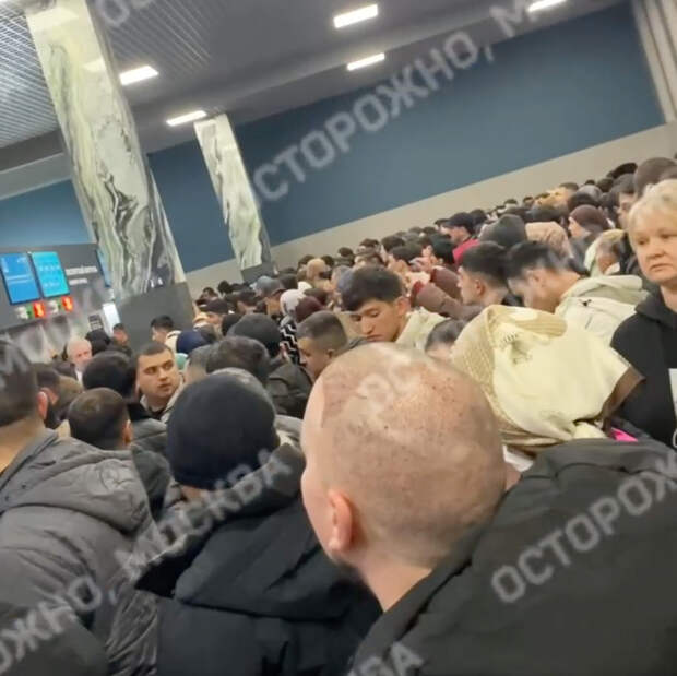 Обстановка с толпами пассажиров в аэропорту Москвы попала на видео