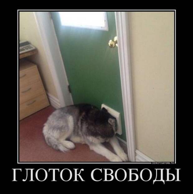 Долой трусы, смотри прикольные демотиваторы.