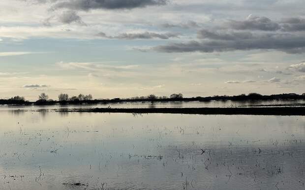 Уходящая натура: фото разлива Оки