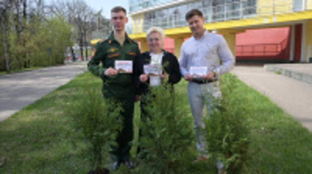 В Иванове высадили аллею туй в честь работников цирков – участников Великой Отечественной войны