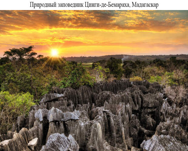 Блог - 19 волшебных лесов со всего мира, которые хотя бы раз нужно увидеть своими глазами 19 волшебных лесов со всего мира, которые хотя бы раз нужно увидеть своими глазами