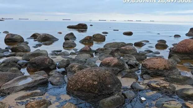 В Финском заливе нашли следы нефтепродуктов, загрязнение локализовано