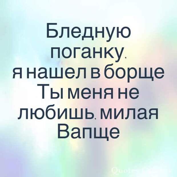 Порция вечерних улыбок