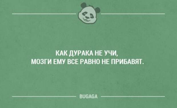 Смешные фразы в картинках с надписями. Часть 11 (20 шт)