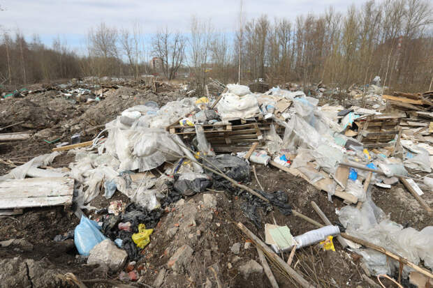 Ленинградская область перестала вывозить свои отходы на полигон Новый Свет – ЭКО»