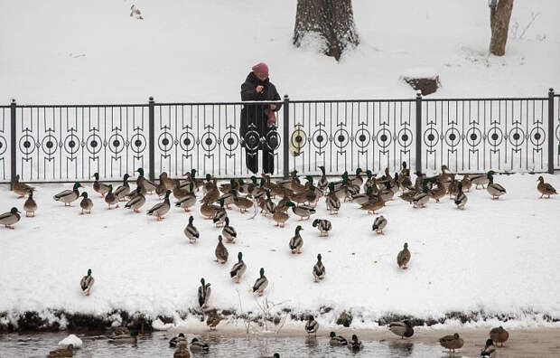 В Тульской области в январе ожидаются "температурные качели"