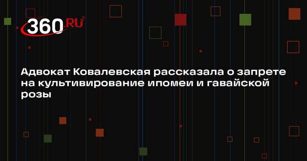 Адвокат Ковалевская рассказала о запрете на культивирование ипомеи и гавайской розы