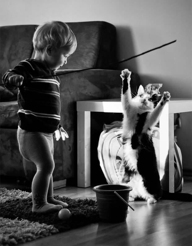 трогательные фотографии детей и котов (11)