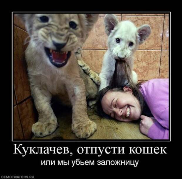 Самые новые и смешные демотиваторы на нашем сайте, прямо сейчас!