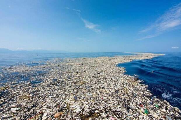 Микромир против пластика: черви и бактерии объединились, чтобы спасти планету от экологической катастрофы