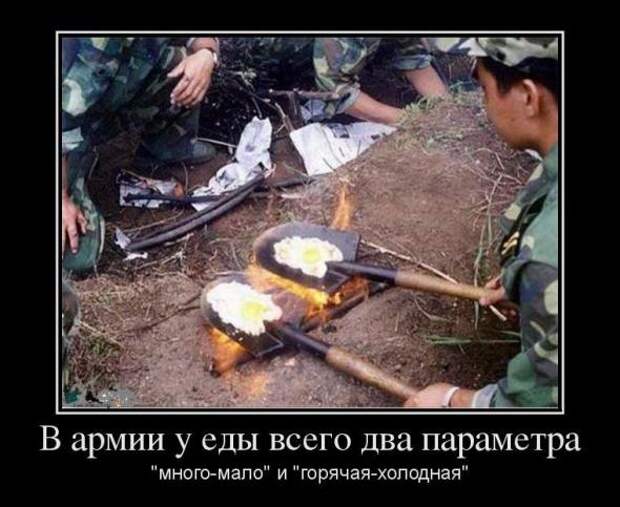 Смешные и забавные демотиваторы 