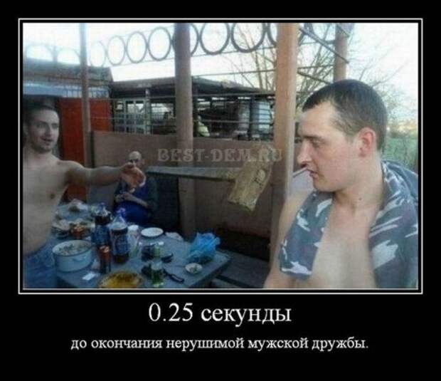 Демотиваторы смешные новые (22 шт)