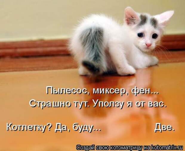 Котоматрицы (картинки с надписями)