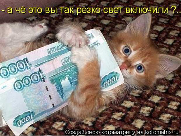 Котоматрица: - а чё это вы так резко свет включили ?....