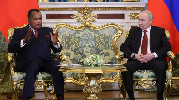 Перспективы по разным направлениям: как развиваются отношения России и Конго