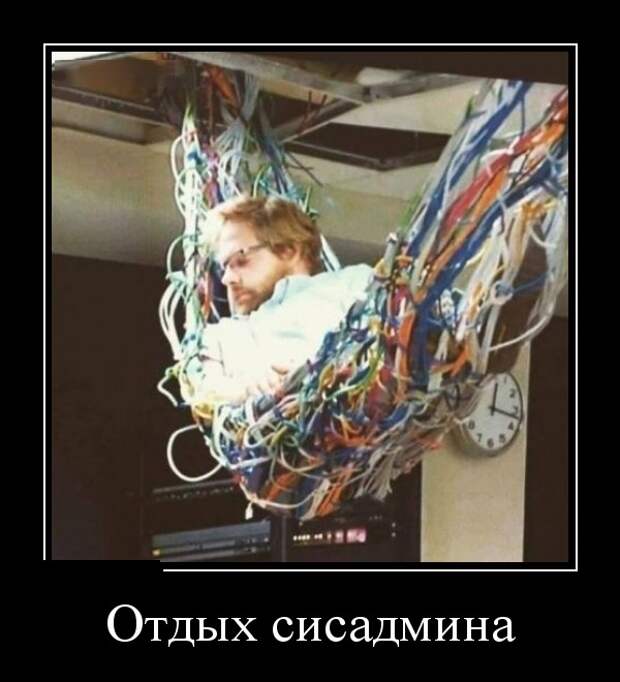 Веселые и прикольные демотиваторы из сети для поднятия настроения (10 фото)