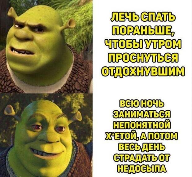 Смешные и познавательные картинки