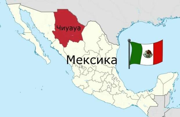 Впервые продавать современную породу стали на севере Мексики. |Фото: ya.ru.