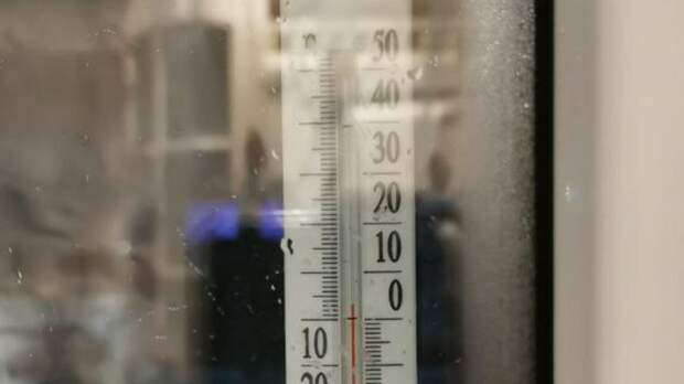 Дождь и около нуля. Жителm Алейска рассказал о январьской погоде