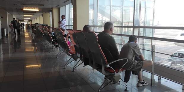 Циклон «Фрэнсис» парализовал Москву: Шереметьево закрыт, а МКАД встал в «черных» пробках