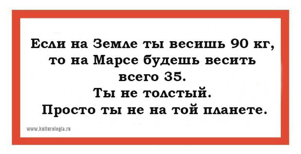 15 предновогодних саркастических открыток, которые откроют второе дыхание