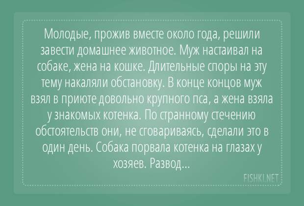 Развод - был бы повод! подслушано, развод, странное, удивительное