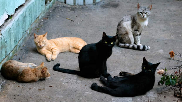 Будь здорова, Бабка!