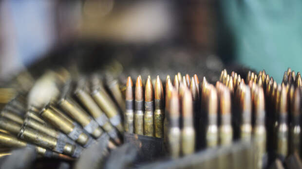 Посольство России: Гаага содействует террористам РДК, допуская утечку оружия