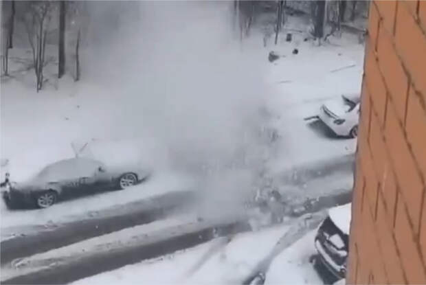 Сосна в Подмосковье упала на машину и попала на видео