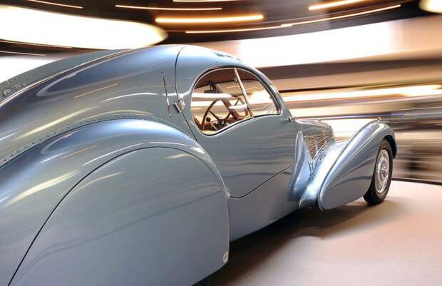 Звери "красной" книги... роскошь, авто