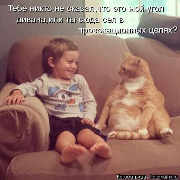 Лучшие котоматрицы недели (50 фото) Лучшие котоматрицы недели (50 фото)