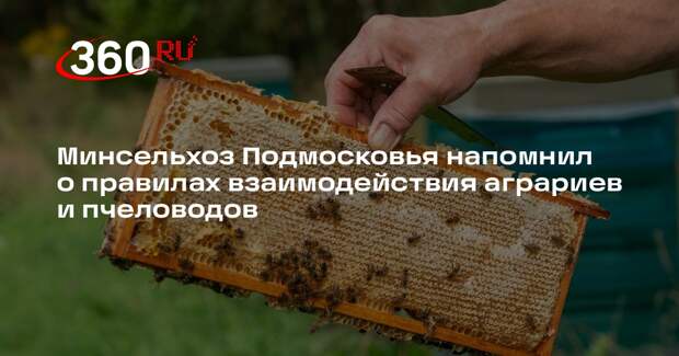 Минсельхоз Подмосковья напомнил о правилах взаимодействия аграриев и пчеловодов