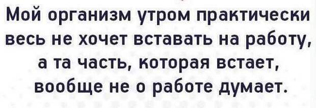 В театре мужик громко интересуется: - Что показывают?...