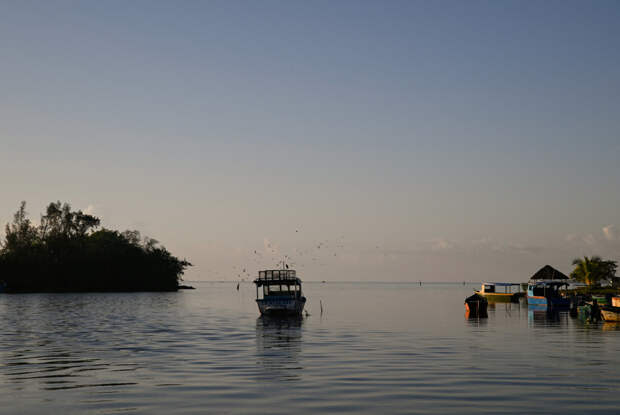 Министерство войны США дало обещание на тему подготовки новой военной операции