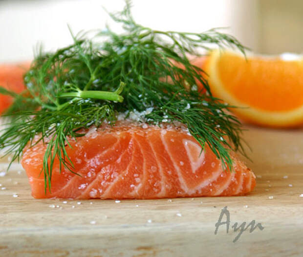 saltedsalmon (500x424, 75Kb)