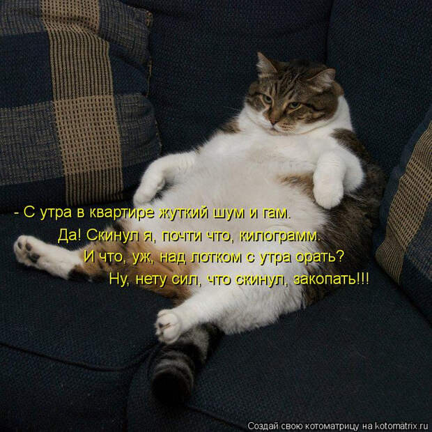 dce0fb7bd8 (700x700, 522Kb)