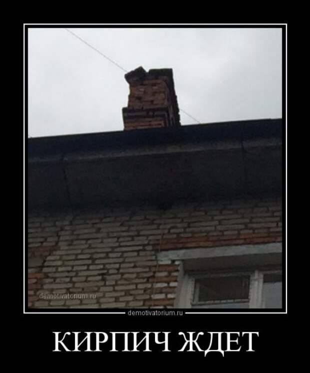 Новые демотиваторы (15 шт)