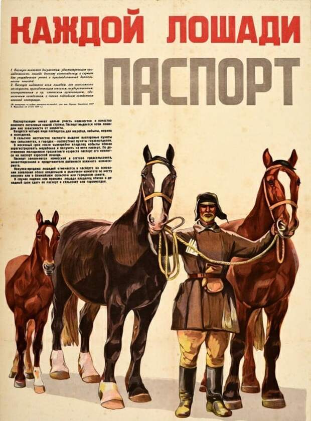 Каждой лошади — паспорт.jpg Каждой лошади — паспорт.jpg