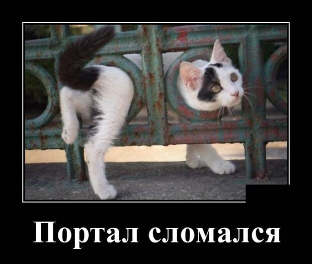Демотиваторы (30 фото)