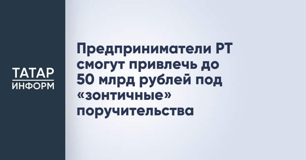 Предприниматели РТ смогут привлечь до 50 млрд рублей под «зонтичные» поручительства