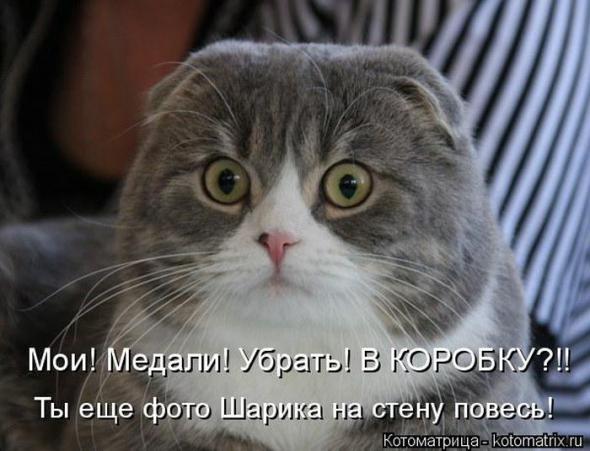 Котоматрицы(картинки с надписями)