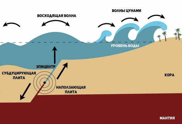 Генерация цунами в ходе субдукции плит: наглядно