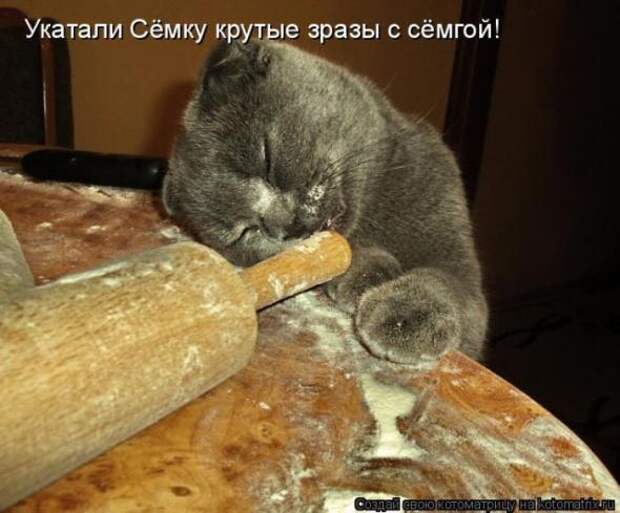 Котоматрицы(картинки с надписями)