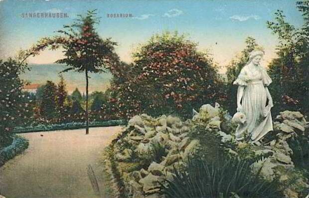 rosarium_europa_007_1914.jpg