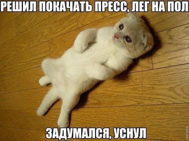 Смешные картинки с подписями  юмор, картинки, прикол
